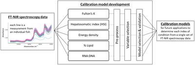 Rapid and Reliable Assessment of Fish Physiological Condition for Fisheries Research and Management Using Fourier Transform Near-Infrared Spectroscopy